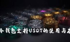 比特币冷钱包支持USDT的使用与存储指南