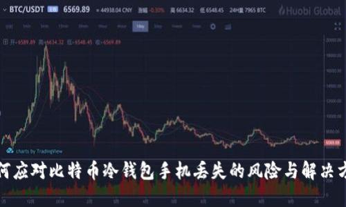 如何应对比特币冷钱包手机丢失的风险与解决方案