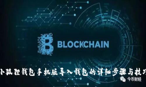 小狐狸钱包手机版导入钱包的详细步骤与技巧