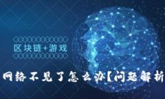 小狐狸钱包网络不见了怎么办？问题解析与解决