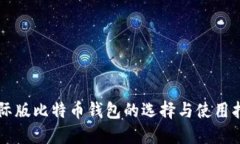 国际版比特币钱包的选择与使用指南