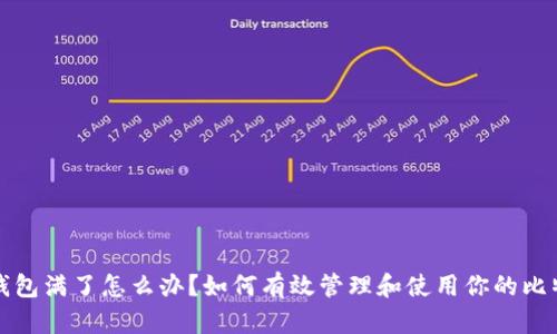 比特币钱包满了怎么办？如何有效管理和使用你的比特币钱包