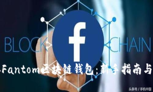 如何连接Fantom区块链钱包：新手指南与实用技巧