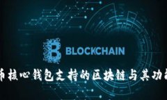 比特币核心钱包支持的区块链与其功能解析