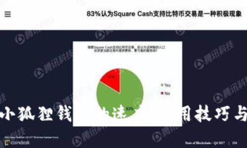 如何小狐狸钱包的速度：实用技巧与建议