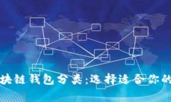 深入了解常见的区块链钱包分类：选择适合你的