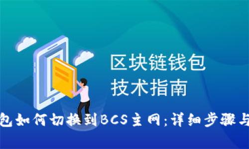 小狐狸钱包如何切换到BCS主网：详细步骤与注意事项