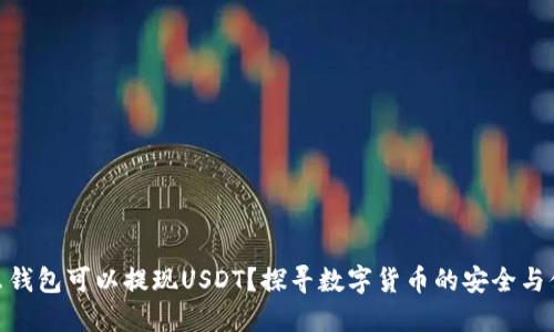 什么钱包可以提现USDT？探寻数字货币的安全与便捷