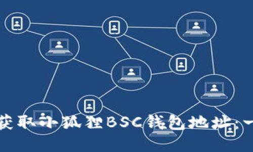 如何轻松获取小狐狸BSC钱包地址：一站式指南