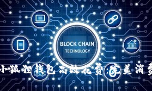 如何利用小狐狸钱包高效花费：完美消费策略分享