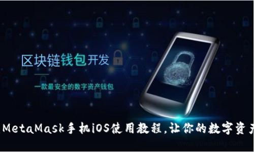 新手必看：MetaMask手机iOS使用教程，让你的数字资产安全无忧