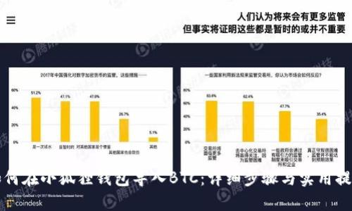 如何在小狐狸钱包导入BTC：详细步骤与实用提示