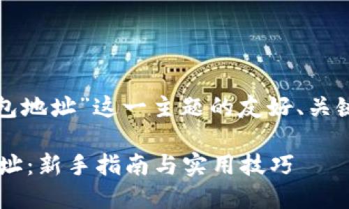 当然可以，以下是基于“比特币钱包地址”这一主题的友好、关键词，以及关于该主题的详细介绍。

如何安全管理你的比特币钱包地址：新手指南与实用技巧