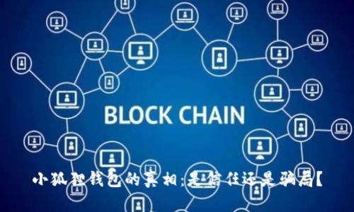 小狐狸钱包的真相：是信任还是骗局？