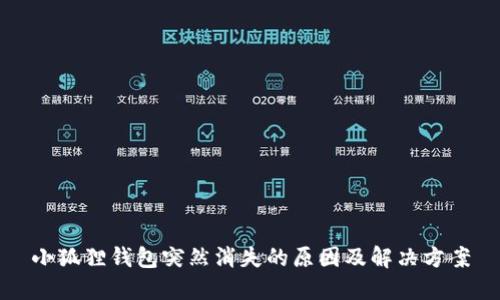 小狐狸钱包突然消失的原因及解决方案