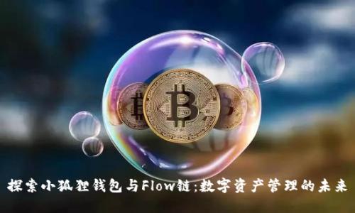 探索小狐狸钱包与Flow链：数字资产管理的未来