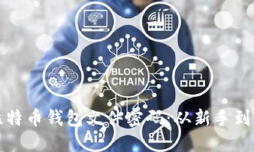 如何安全管理比特币钱包文件密码：从新手到高手的全面指南