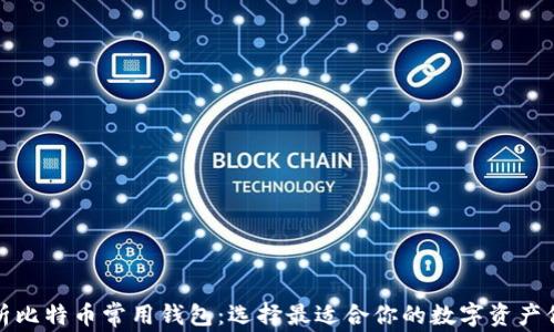 
全面解析比特币常用钱包：选择最适合你的数字资产保护工具