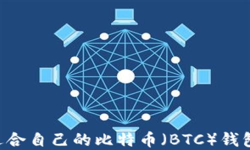 
如何选择适合自己的比特币（BTC）钱包：完全指南