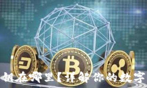   
比特币钱包私钥在哪里？详解你的数字资产安全之道