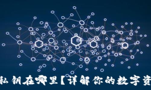   
比特币钱包私钥在哪里？详解你的数字资产安全之道