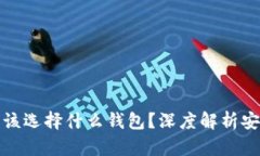 买比特币后应该选择什么钱包？深度解析安全性