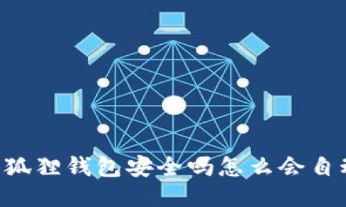 ima 小狐狸钱包安全吗怎么会自动转币 