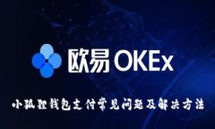 小狐狸钱包支付常见问题及解决方法