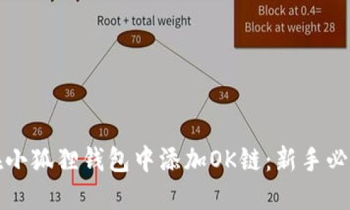 如何在小狐狸钱包中添加OK链：新手必看指南