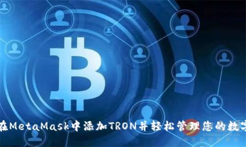 如何在MetaMask中添加TRON并轻松管理您的数字资产