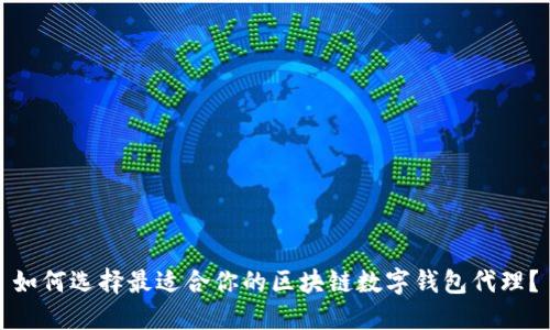 如何选择最适合你的区块链数字钱包代理？