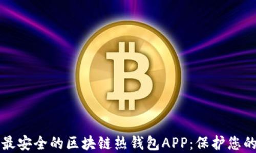 
如何选择最安全的区块链热钱包APP：保护您的数字资产