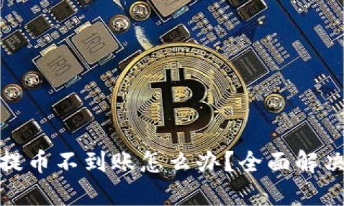小狐狸钱包提币不到账怎么办？全面解决方案与建议