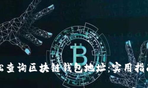 如何轻松查询区块链钱包地址：实用指南与技巧