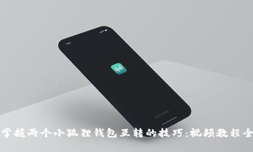 轻松掌握两个小狐狸钱包互转的技巧：视频教程全解析