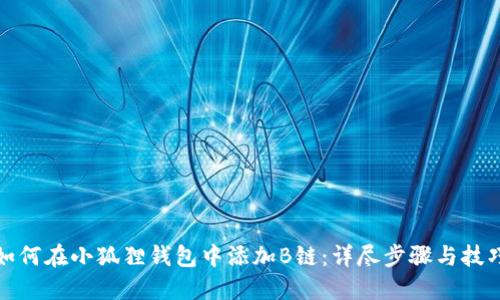 如何在小狐狸钱包中添加B链：详尽步骤与技巧