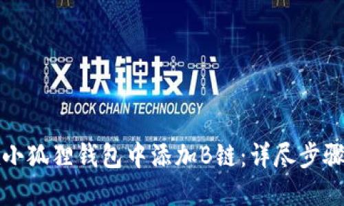 如何在小狐狸钱包中添加B链：详尽步骤与技巧