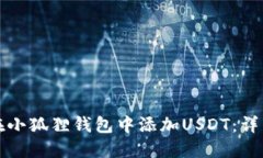 如何在小狐狸钱包中添加USDT：详细指南