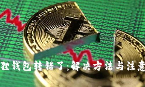 小狐狸钱包转错了：解决方法与注意事项