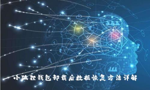 小狐狸钱包卸载后数据恢复方法详解
