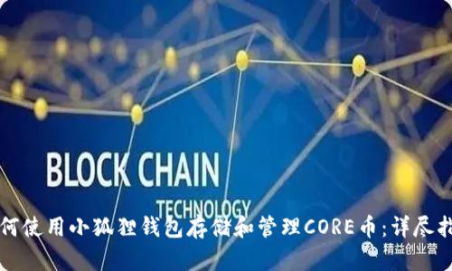 如何使用小狐狸钱包存储和管理CORE币：详尽指南