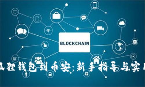 从小狐狸钱包到币安：新手指导与实用技巧