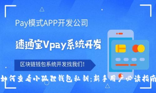 如何查看小狐狸钱包私钥：新手用户必读指南