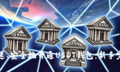 如何快速、安全地开通USDT钱包：新手完全指南