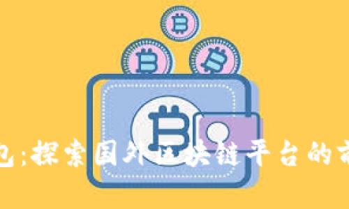 小狐狸钱包：探索国外区块链平台的前景与挑战