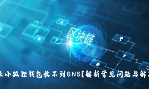 为什么小狐狸钱包收不到BNB？解析常见问题与解决办法