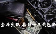 小狐狸的意外发现：捡到一只钱包的温暖故事