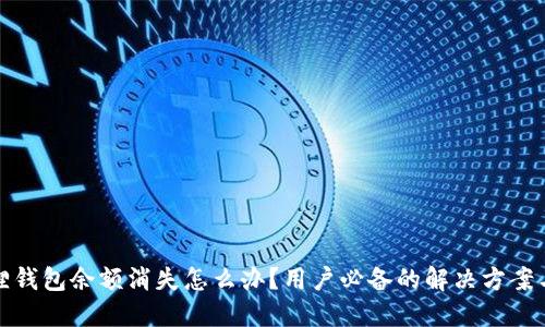 小狐狸钱包余额消失怎么办？用户必备的解决方案与建议