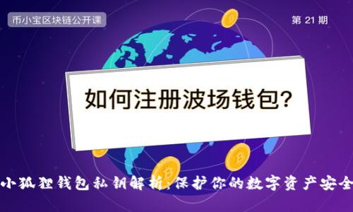 小狐狸钱包私钥解析：保护你的数字资产安全