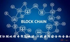 如何识别比特币钱包地址：从技术到安全的全面